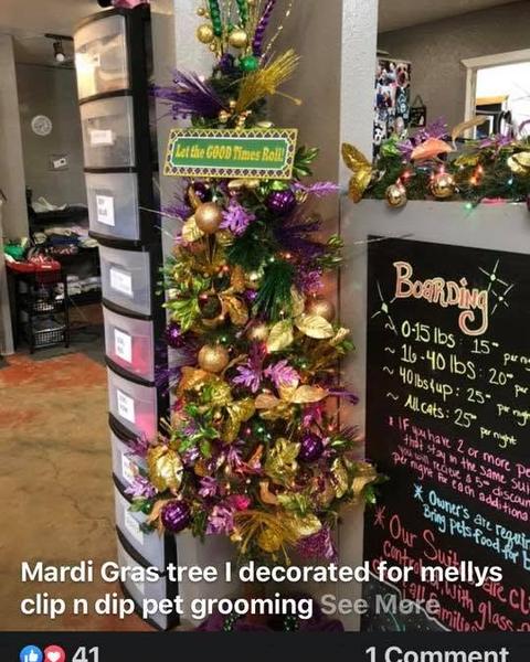 A Mardi Gras tree decorated in purple, green and gold beside the boarding sign