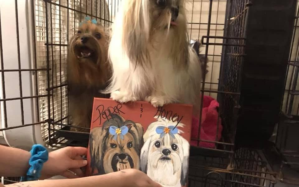 A painted portrait of a Shih Tzu held up beside the dog it shows