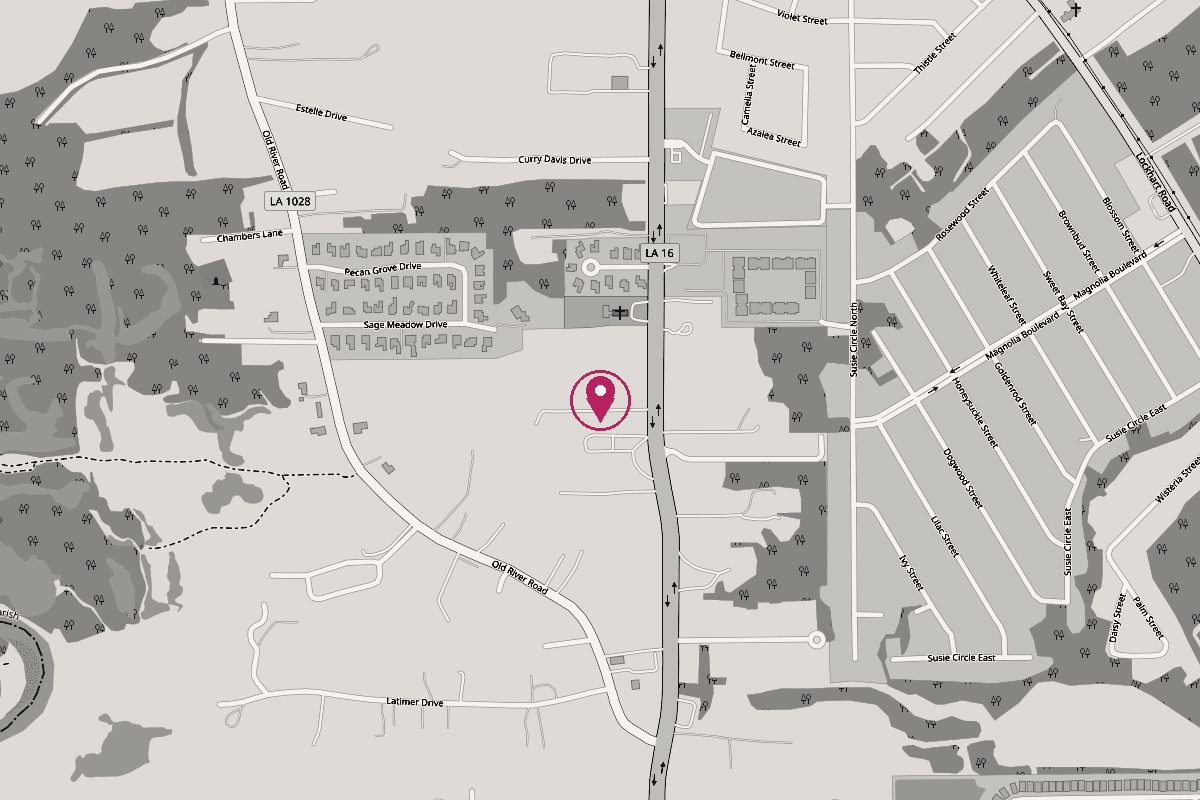 Map of Denham Springs with LA-16 running north to south and a pin on Melly's Clip-N-Dip