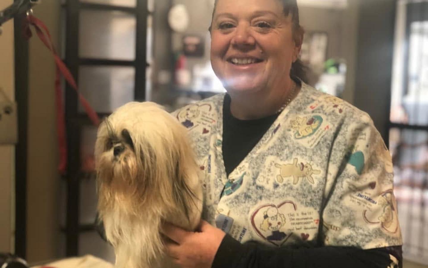 A groomer holding a freshly groomed Shih Tzu in the grooming room